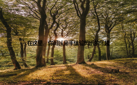 在这里, 你可以亲手体验剪纸的乐趣