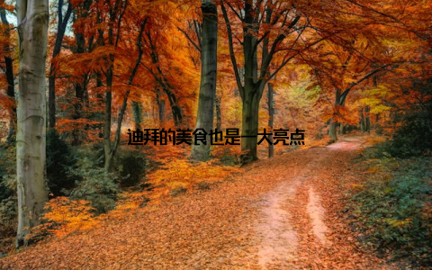 迪拜的美食也是一大亮点