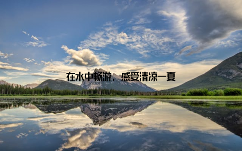 在水中畅游, 感受清凉一夏