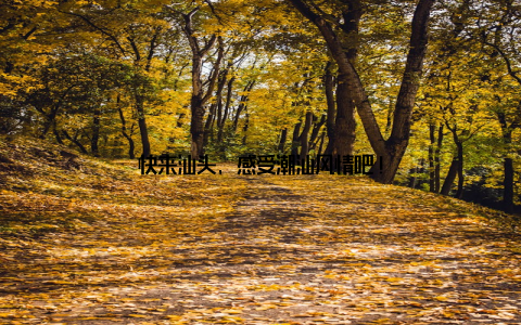 快来汕头, 感受潮汕风情吧!