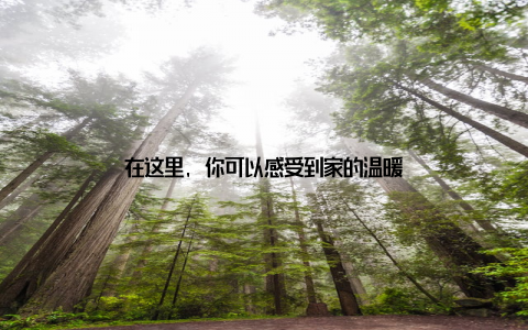 在这里, 你可以感受到家的温暖