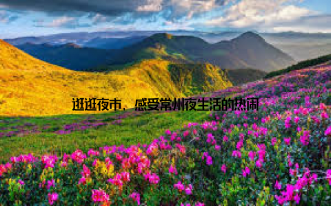 逛逛夜市, 感受常州夜生活的热闹