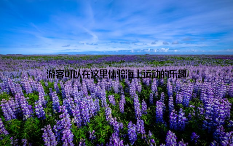 游客可以在这里体验海上运动的乐趣