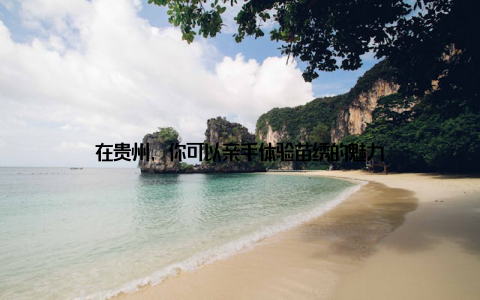 在贵州, 你可以亲手体验苗绣的魅力