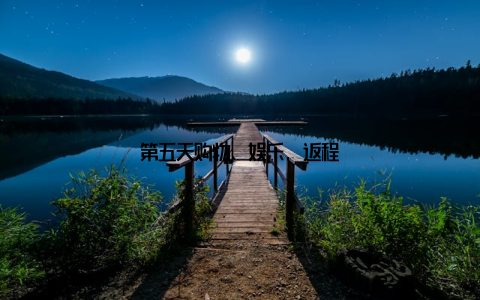 第五天购物、娱乐, 返程