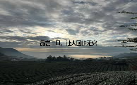 品尝一口, 让人回味无穷