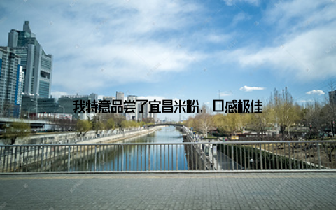 我特意品尝了宜昌米粉, 口感极佳