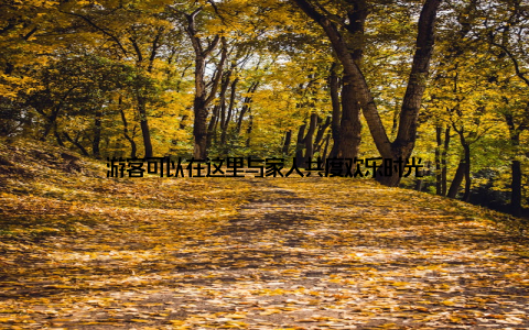 游客可以在这里与家人共度欢乐时光