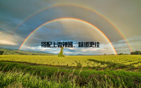 搭配上香辣酱, 味道更佳