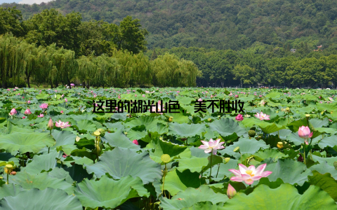 这里的湖光山色, 美不胜收