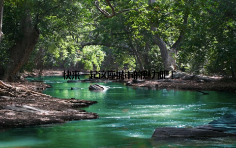 快来一起这座城市的魅力吧!