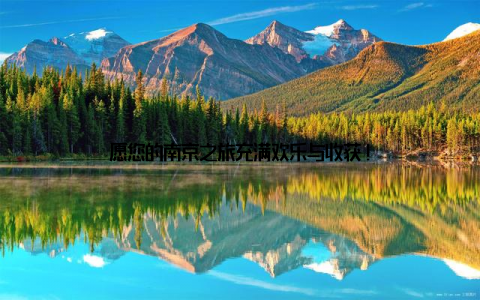 愿您的南京之旅充满欢乐与收获!