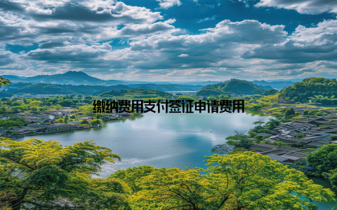 缴纳费用支付签证申请费用