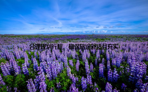 合理规划行程, 确保旅途舒适且充实