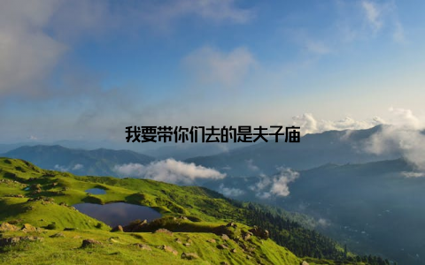 我要带你们去的是夫子庙