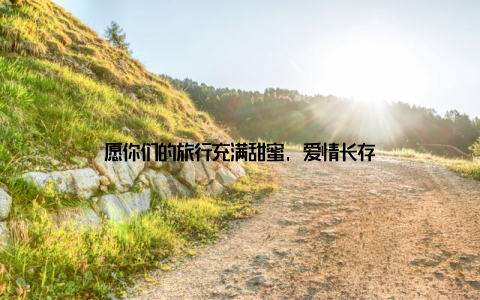愿你们的旅行充满甜蜜, 爱情长存