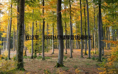 在这里, 你可以尽情享受休闲时光