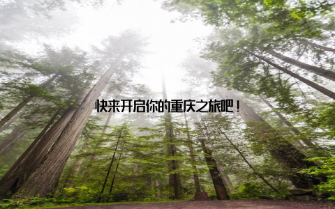 快来开启你的重庆之旅吧!