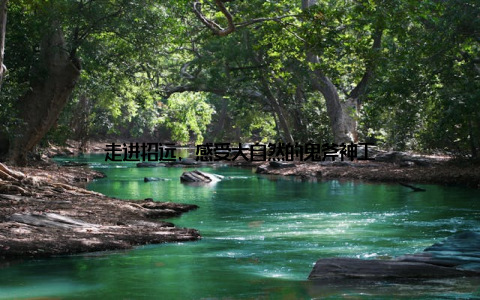 走进招远, 感受大自然的鬼斧神工