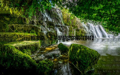 一般来说, 上午是游览的最佳时段