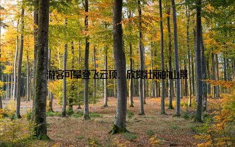游客可攀登飞云顶, 欣赏壮丽的山景